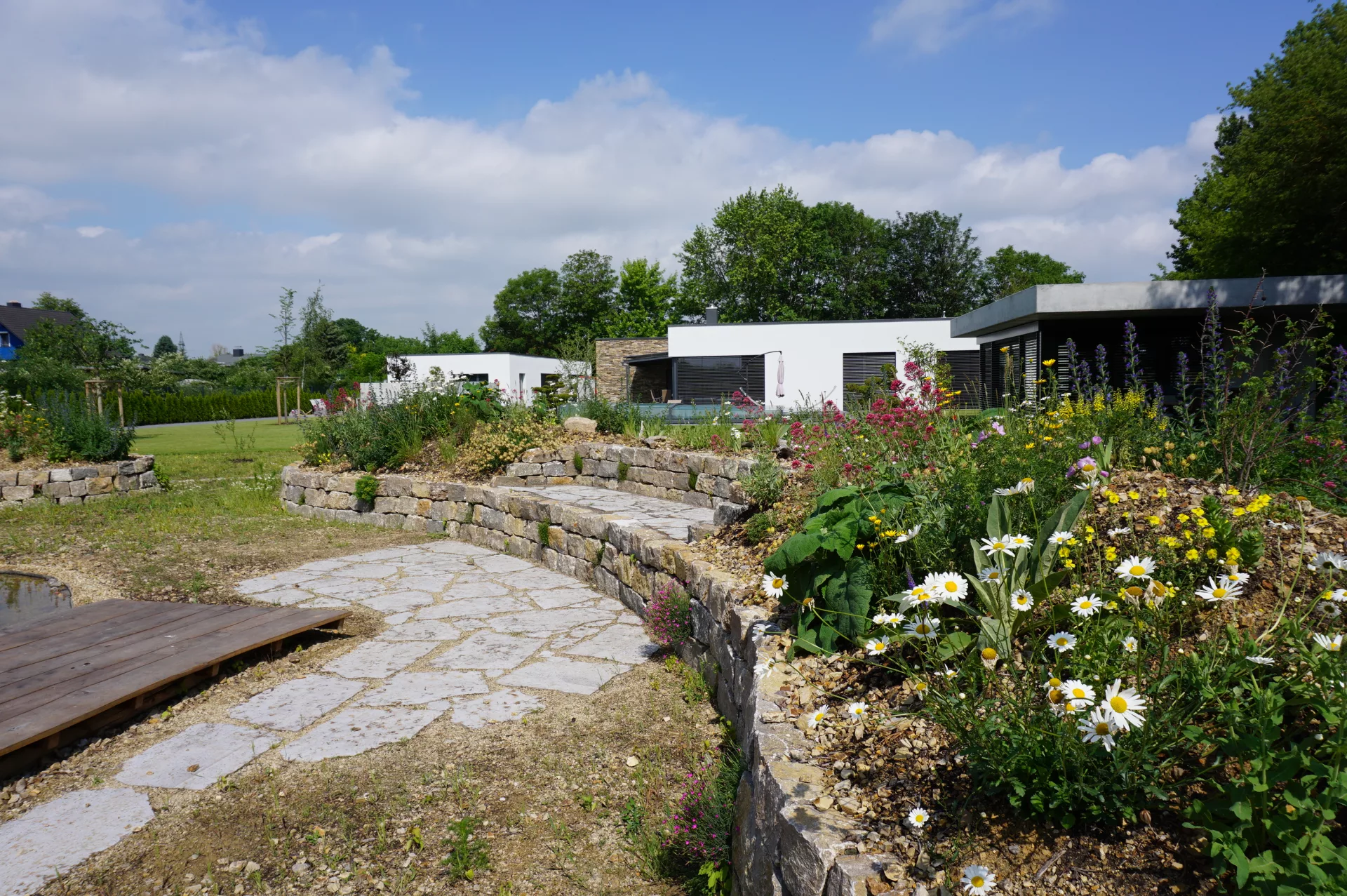 Sitzbank auf Trockenmauer an Wildblumen