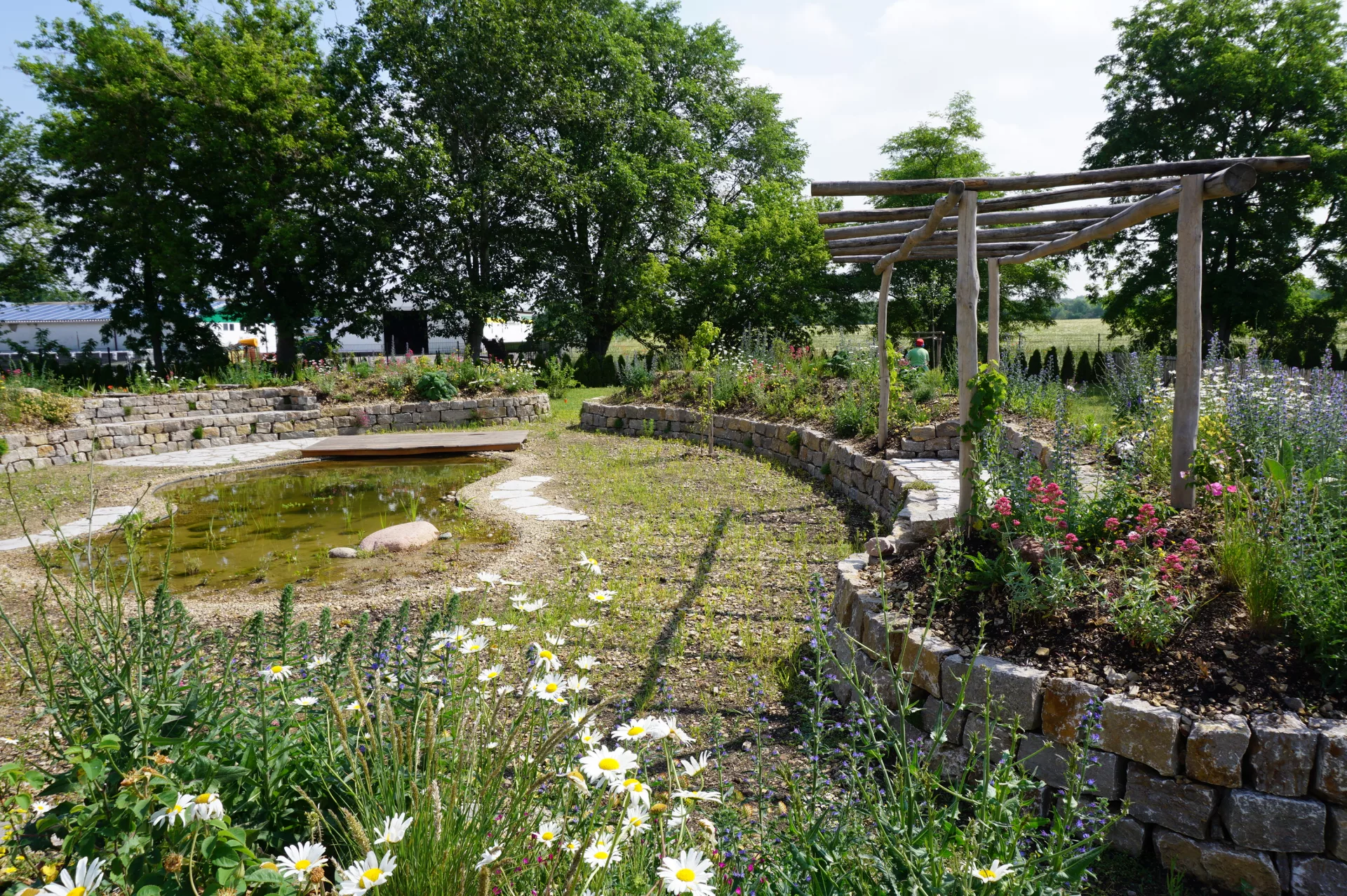 Amorphe Natursteinmauer am Teich