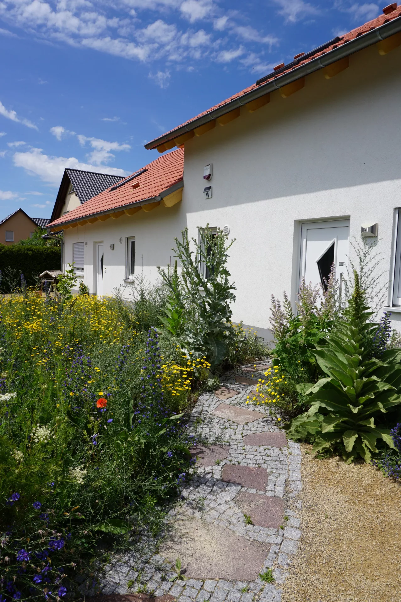 Vorgarten mit Wildblumen