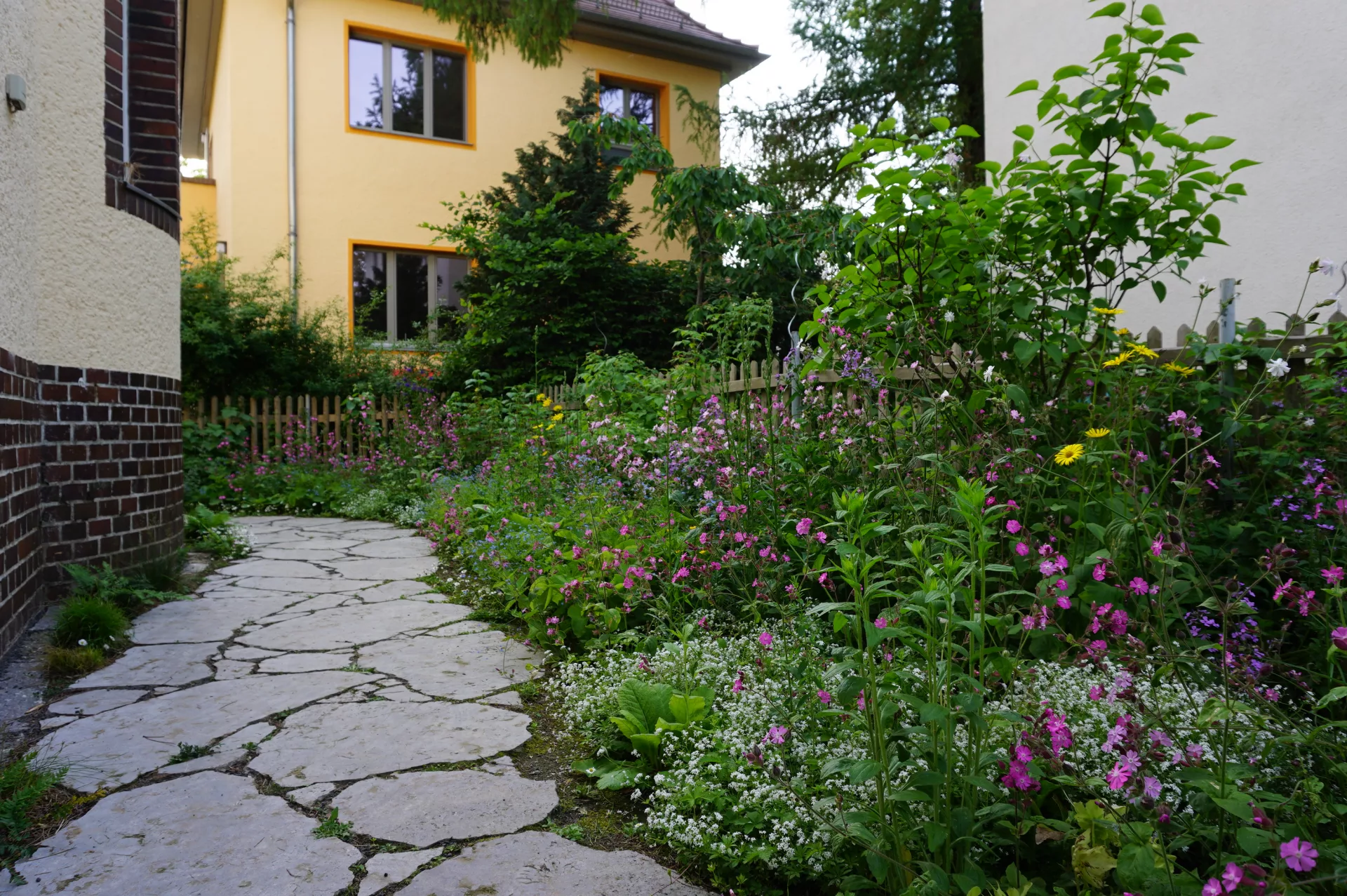 Halbschattiges Beet mit Wildpflanzen