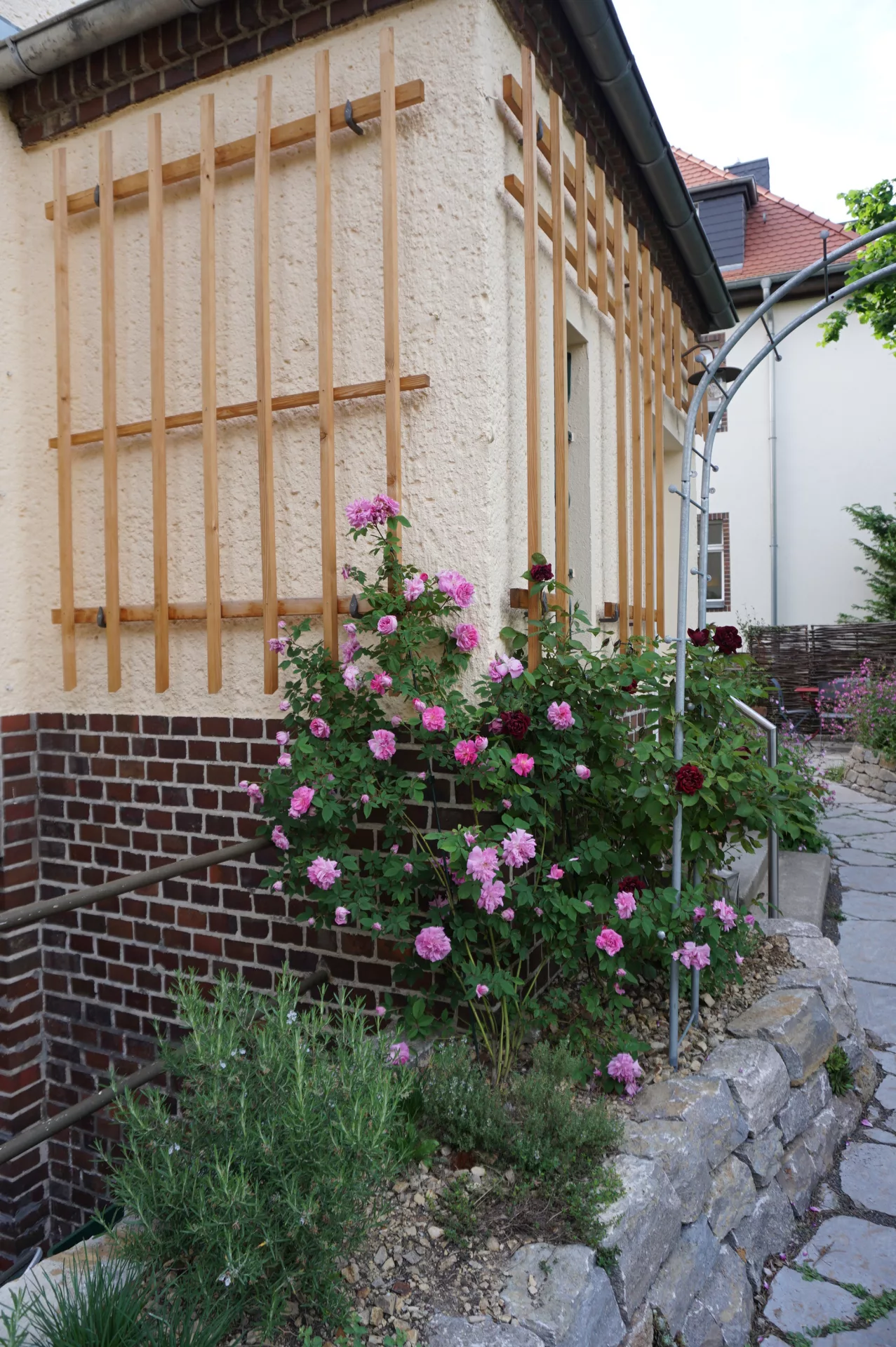 Rosenspalier aus Lärchenholz