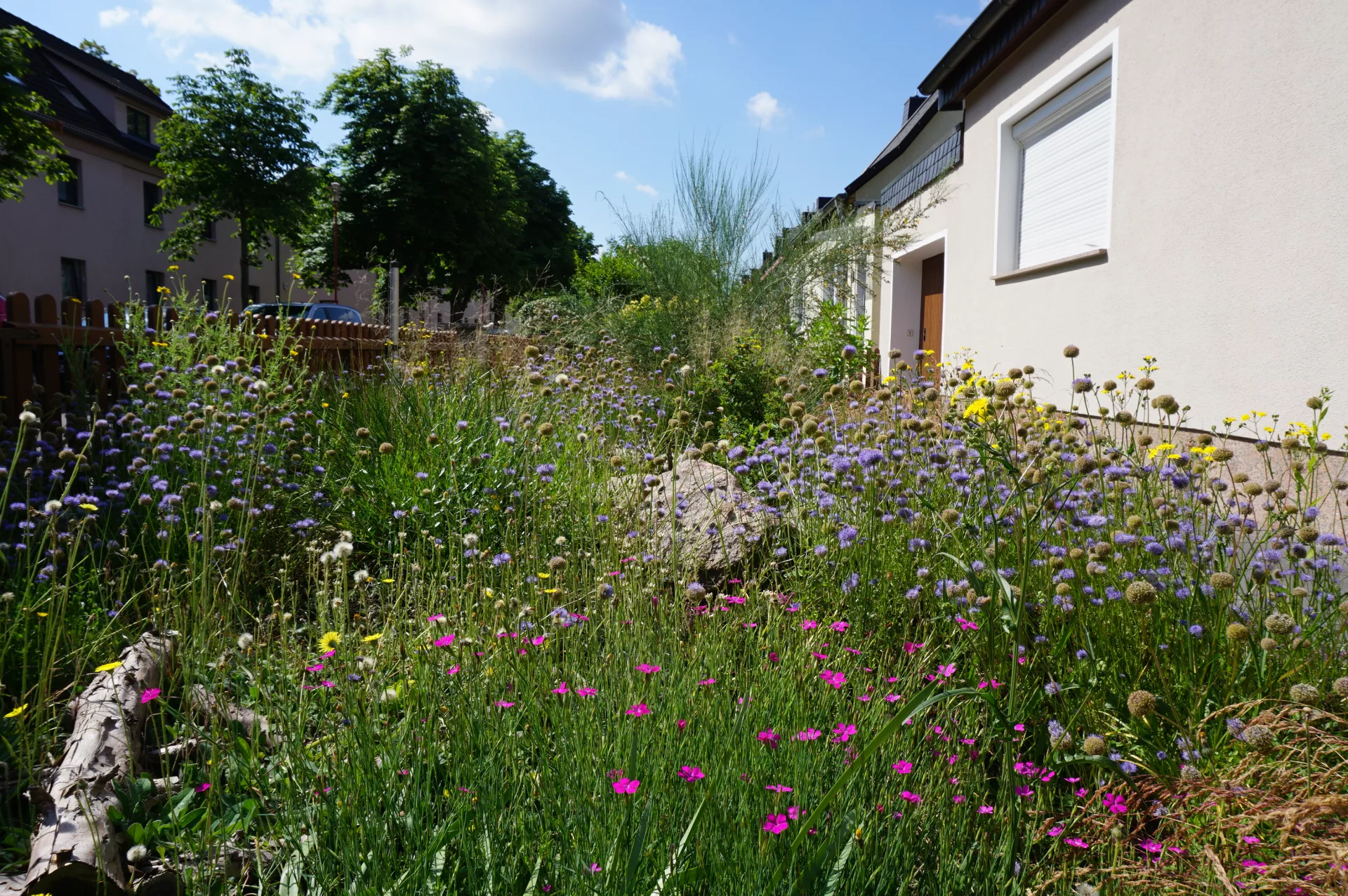 Naturnaher Heidegarten