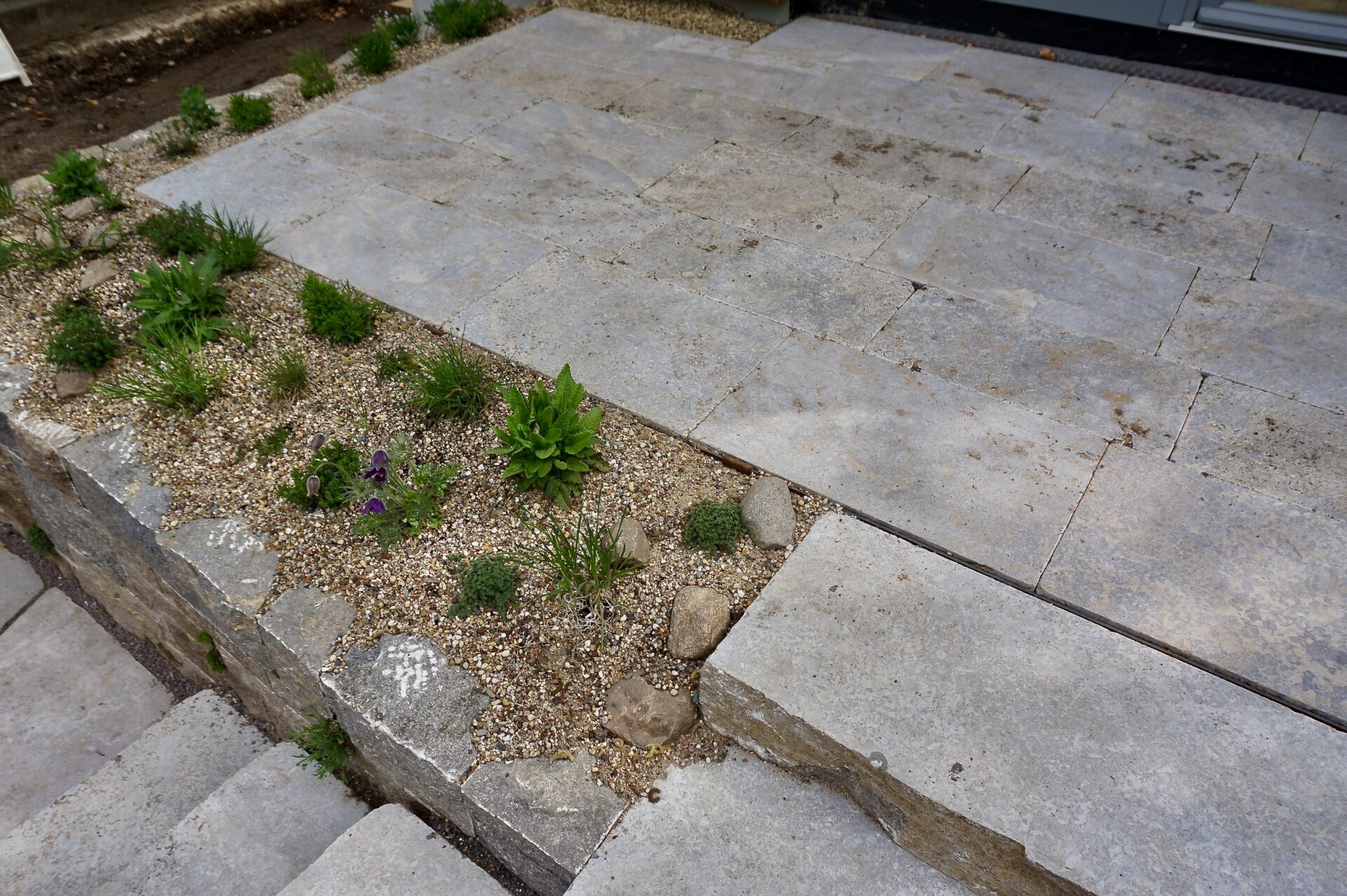 Antique-Platten aus Muschelkalk, getrommelt