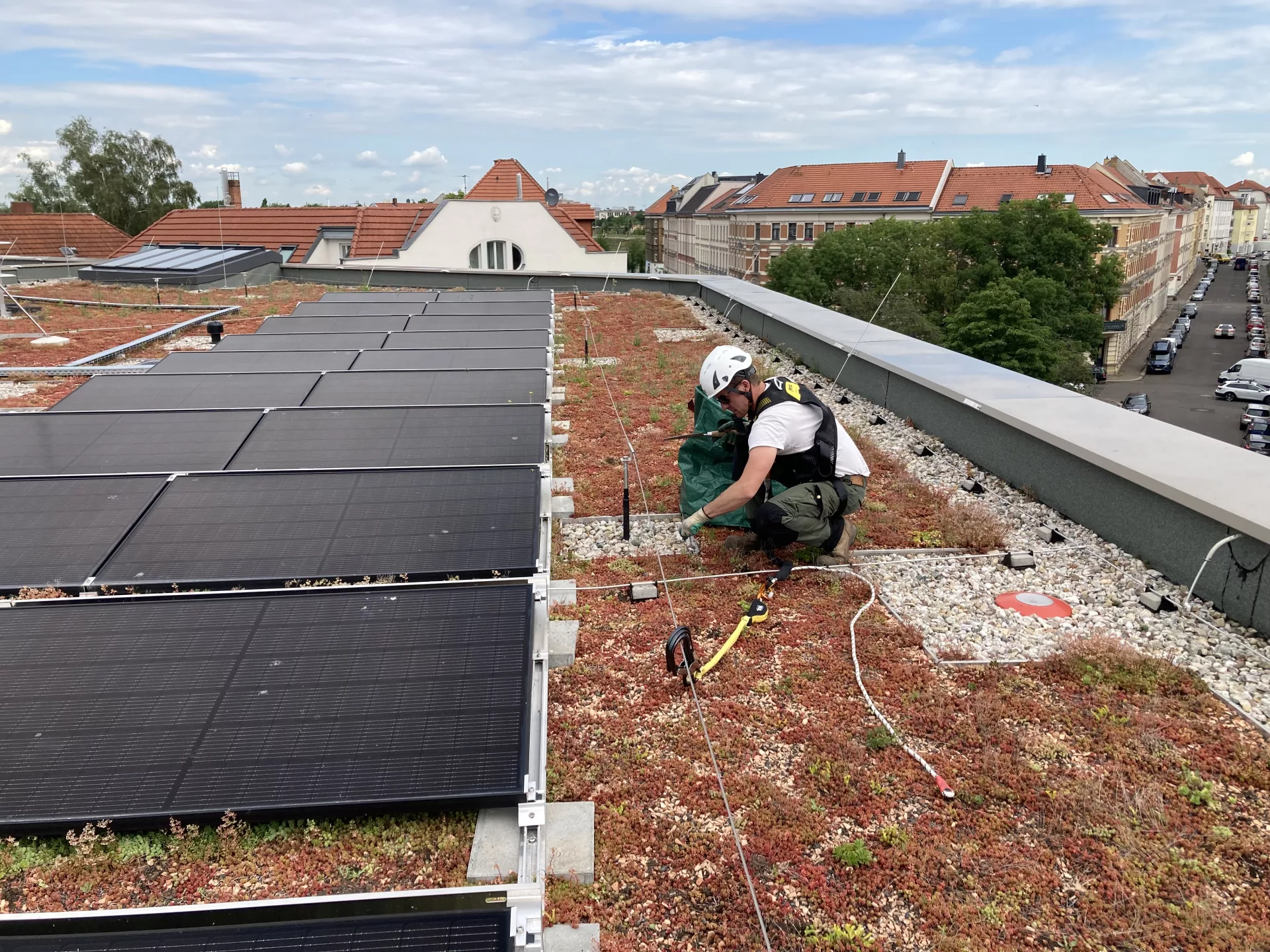 Pflege eines extensiven Solar-Gründachs