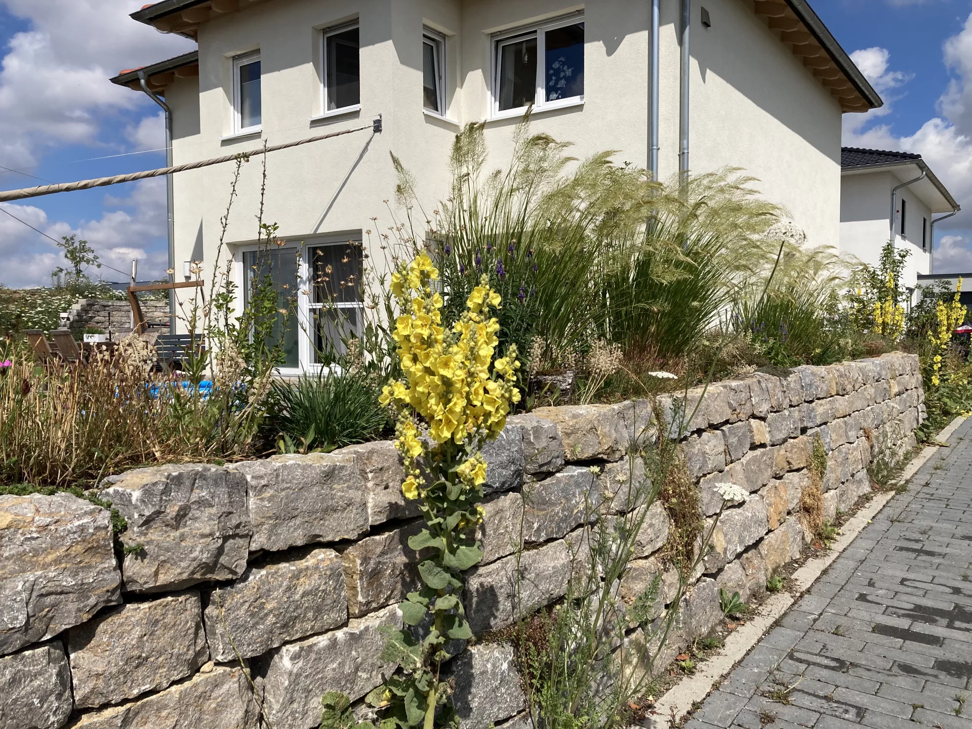 Freistehende Trockenmauer mit Wildpflanzen