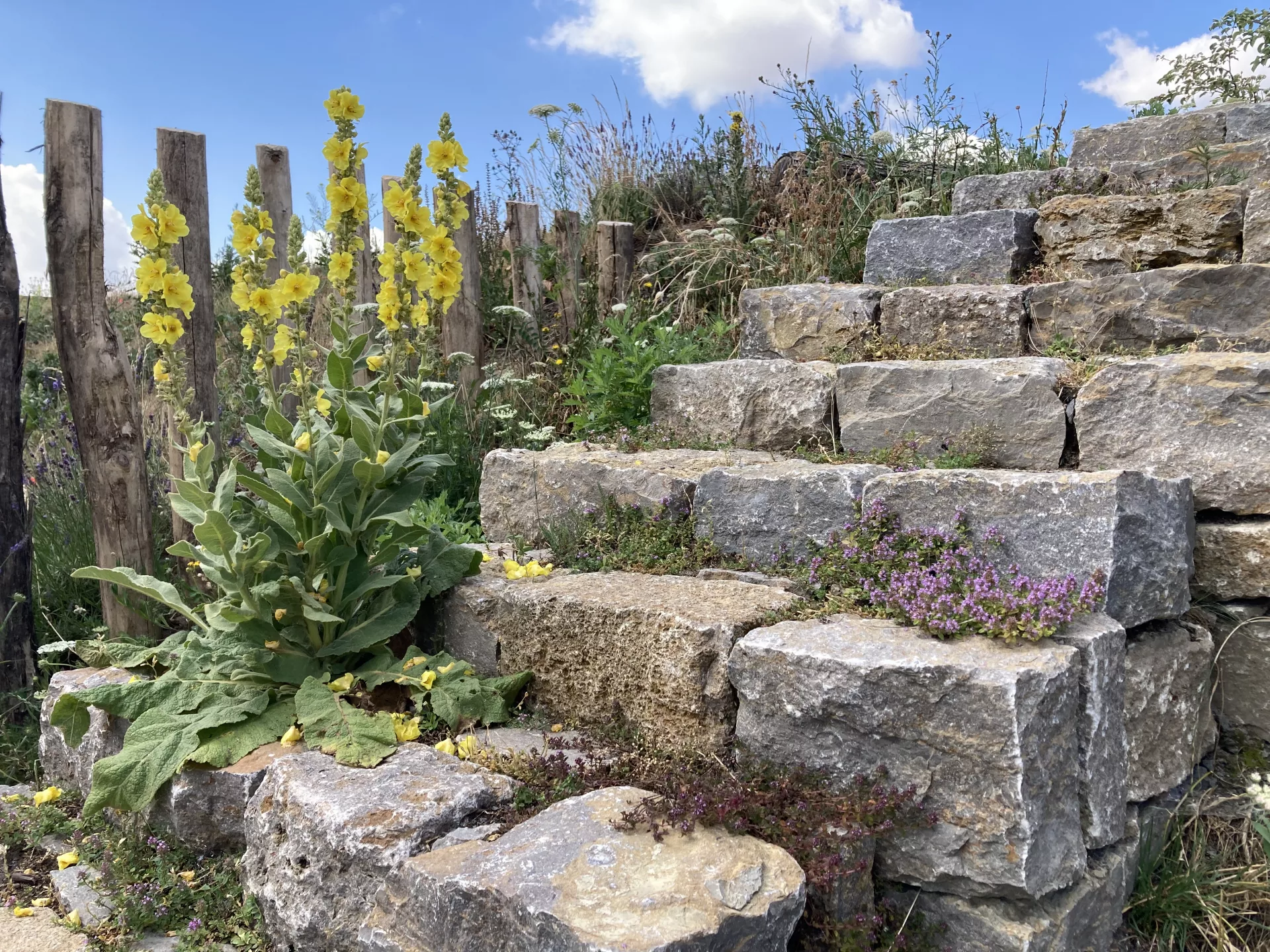 Natursteintreppe mit Fugenbepflanzung