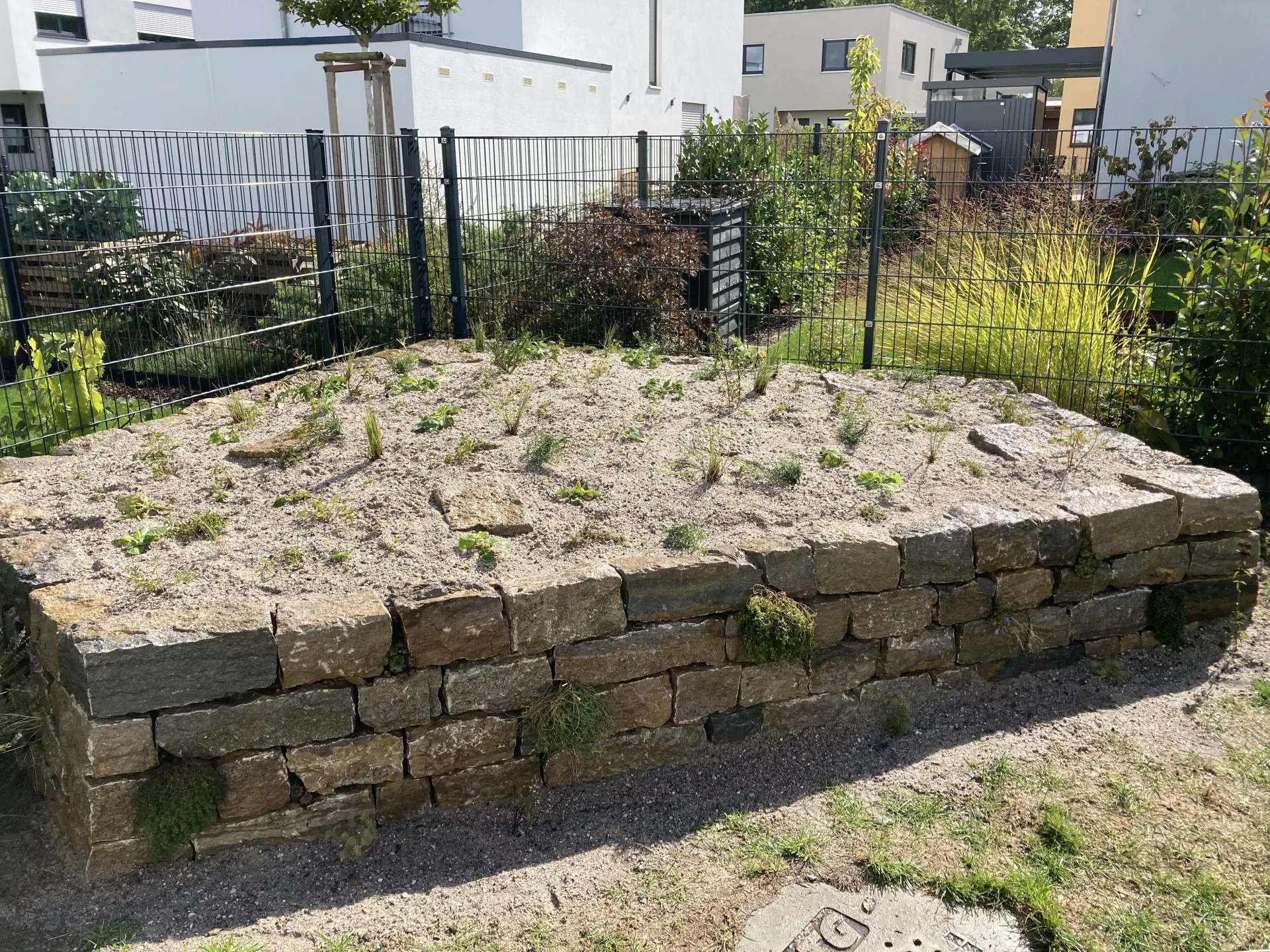 Sandbeet mit Wildpflanzen der mageren Trockenstandorte