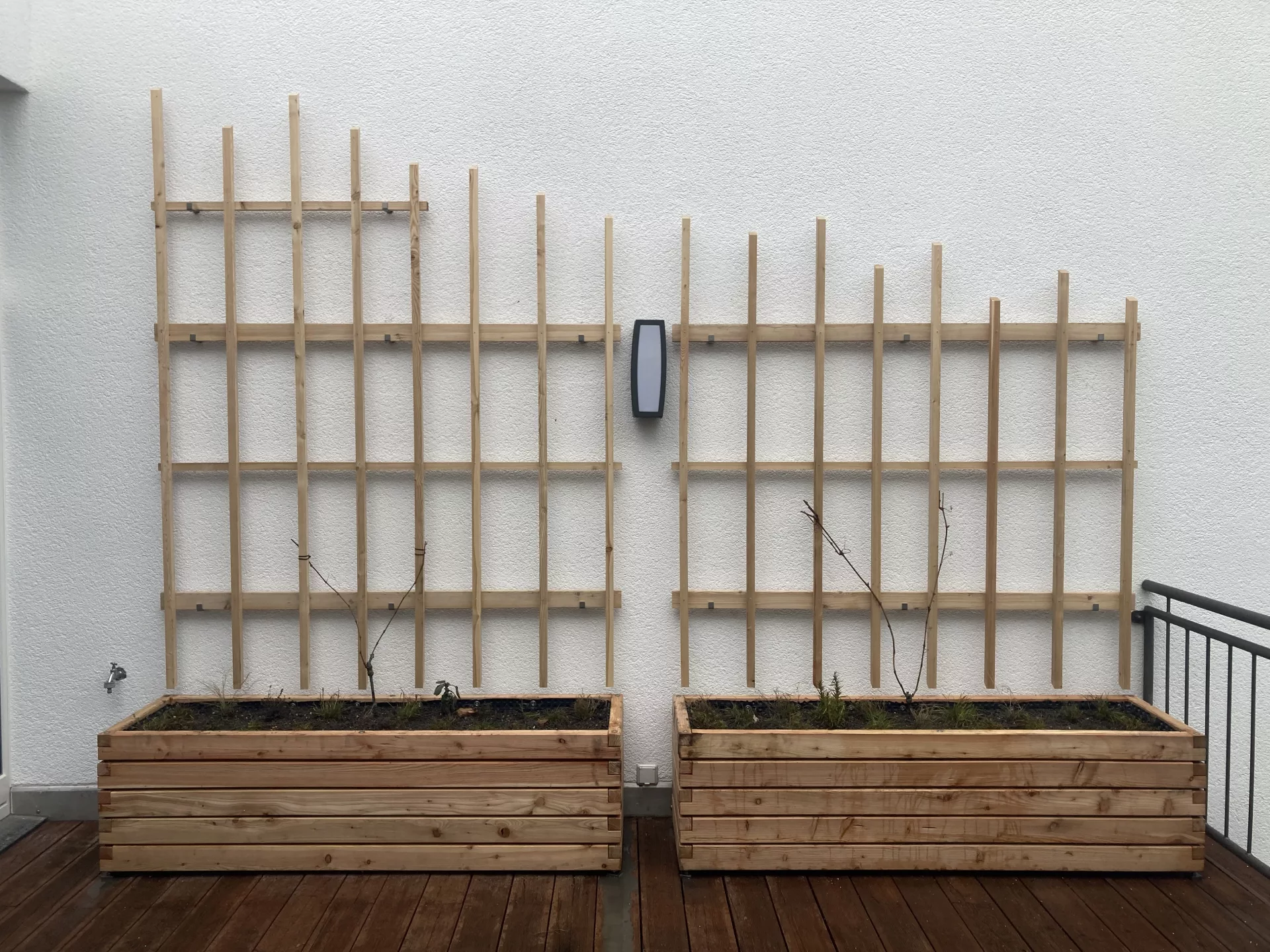 Rankhilfe aus Lärchenholz