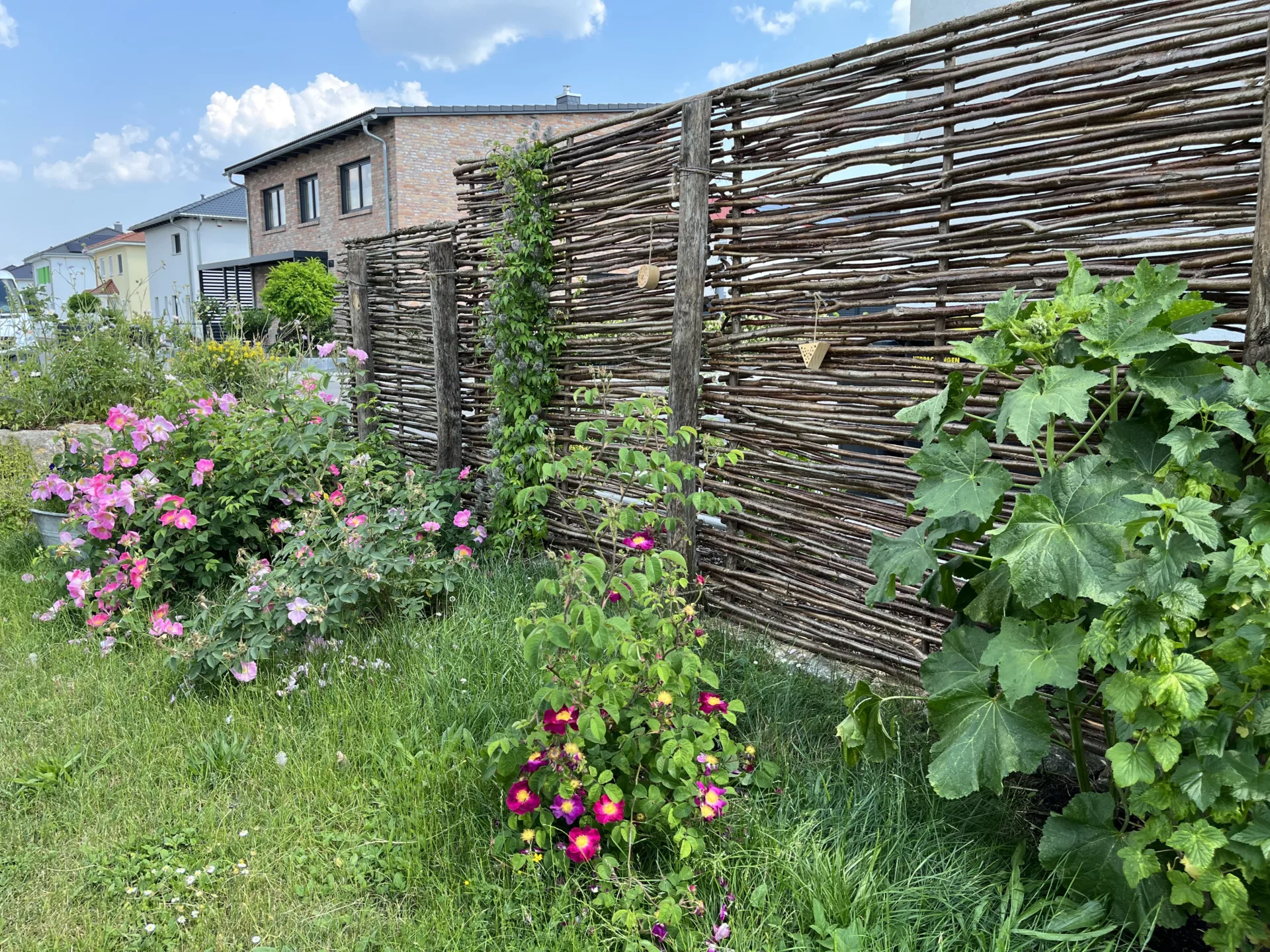 Haselnussflechtzaun mit Vorpflanzung