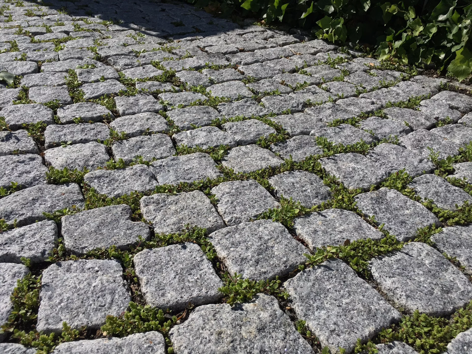 Granitpflaster mit Fugenmischung